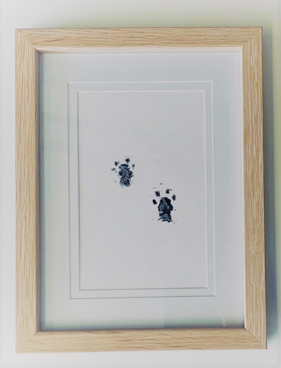 Guinea Pig Paw Print Memorial