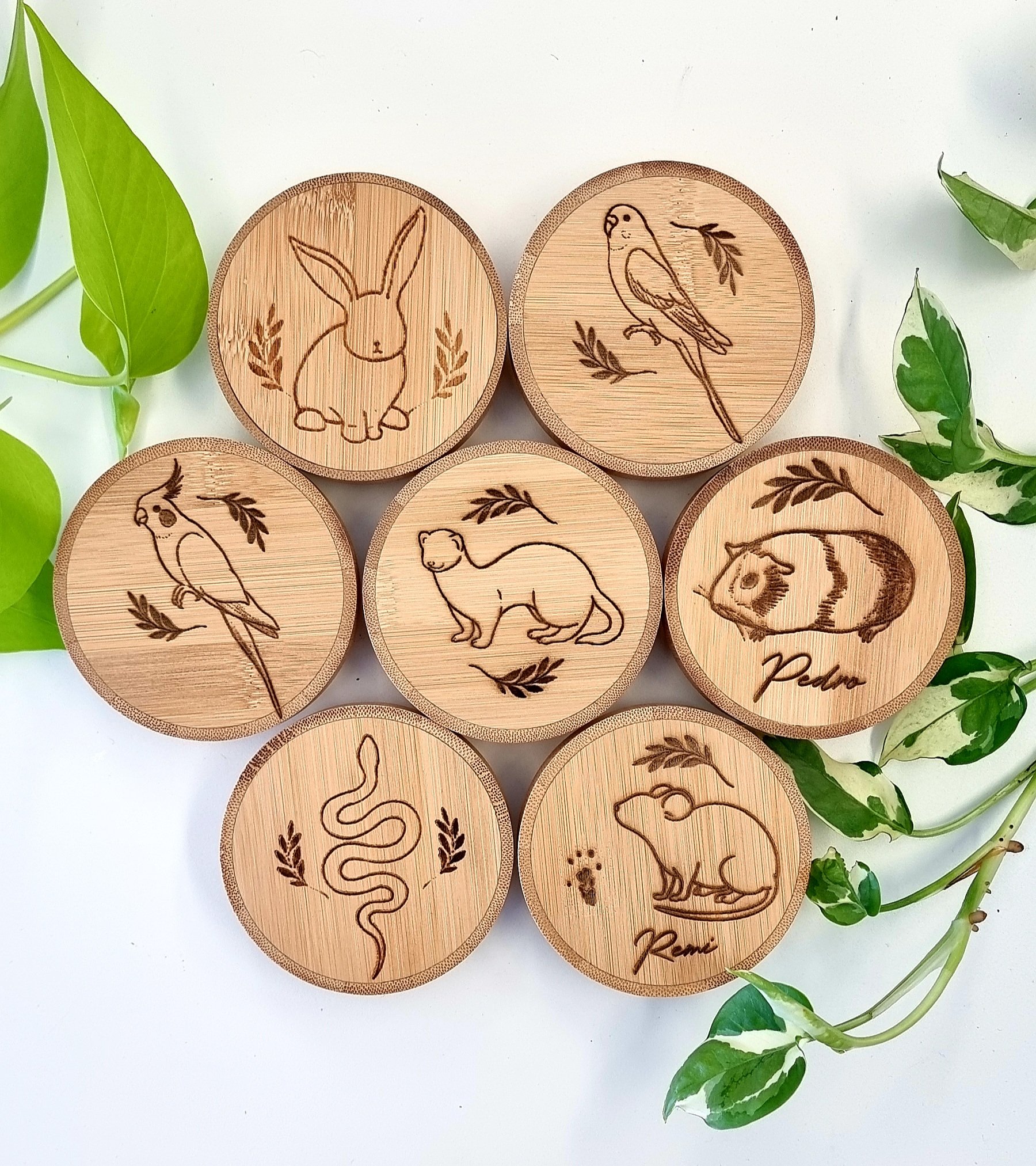 Exotic Pets Custom Bamboo Pod - Various Designs