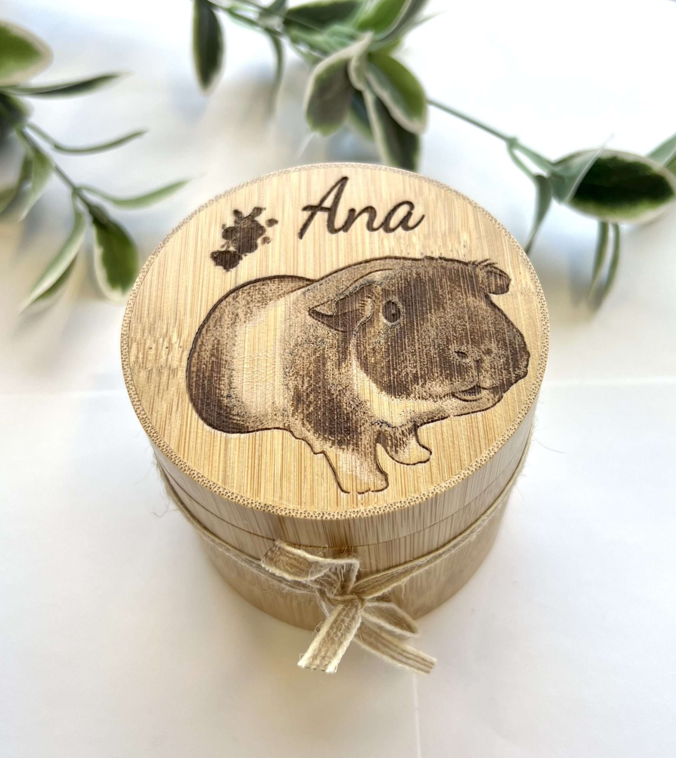 Exotic Pets Custom Bamboo Pod - Various Designs - Image 3