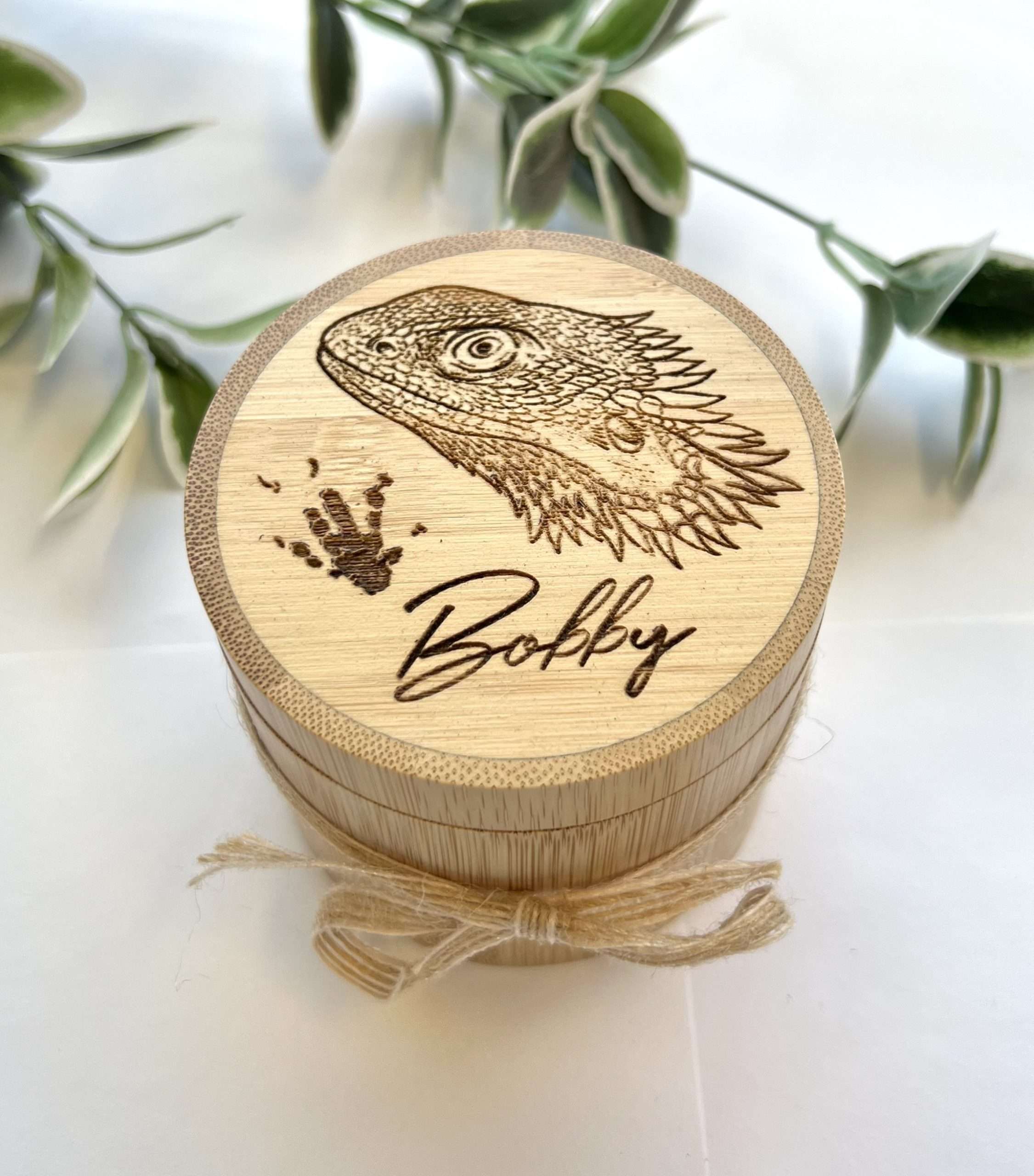 Exotic Pets Custom Bamboo Pod - Various Designs - Image 4