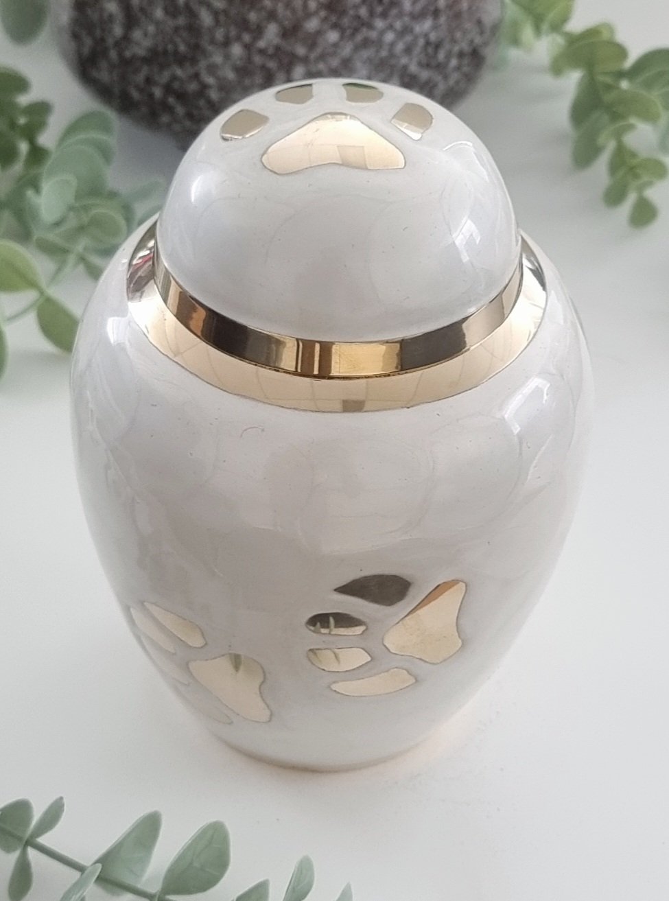 Pearl White Paws Urn - Brass - Image 2