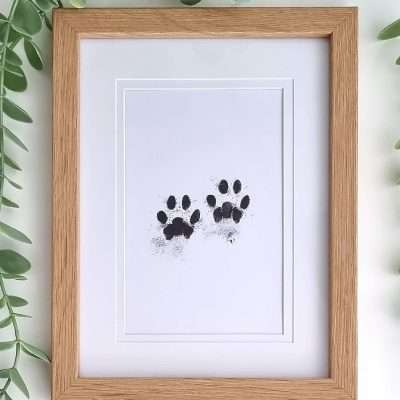Paw Prints & Other Memorials