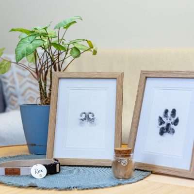 Paw Prints & Other Keepsakes