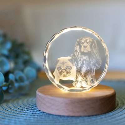 Custom 3D Engraved LED Crystal