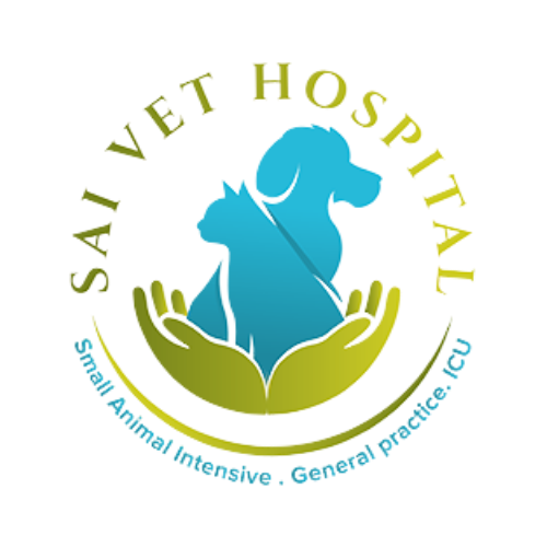 24 Hour Emergency Vets Perth
