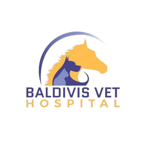 baldivis vet